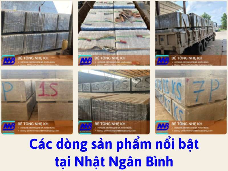 Cam Kết từ Nhật Ngân Bình.