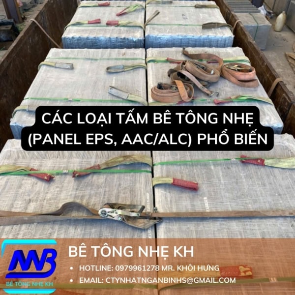 Các Loại Tấm Bê Tông Nhẹ (Panel EPS, AAC/ALC) Phổ Biến