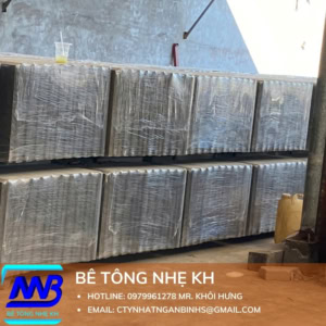 Tấm Bê Tông Nhẹ Dày 100mm 1 Lớp Cốt Thép