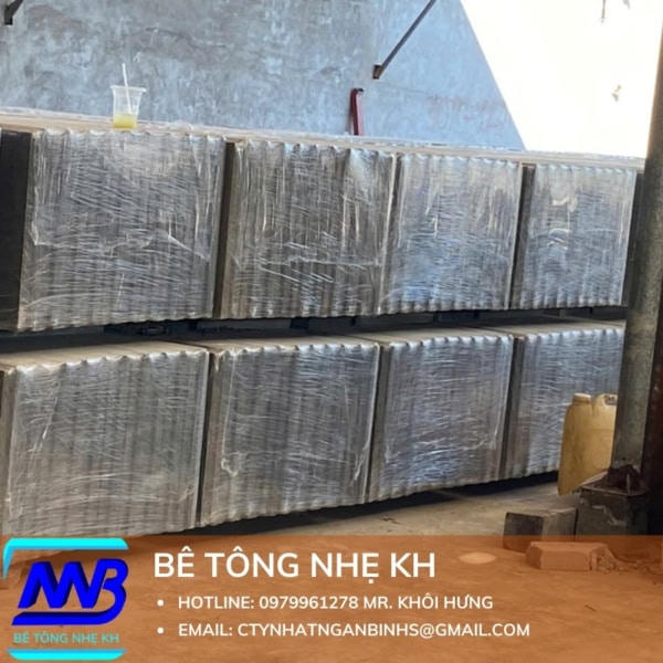Tấm Bê Tông Nhẹ Dày 100mm 1 Lớp Cốt Thép
