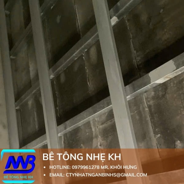 Tấm Bê Tông Nhẹ Dày 100mm 1 Lớp Cốt Thép - Ảnh 6