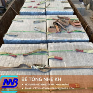 Tấm Bê Tông Nhẹ Dày 100mm 2 Lớp Cốt Thép
